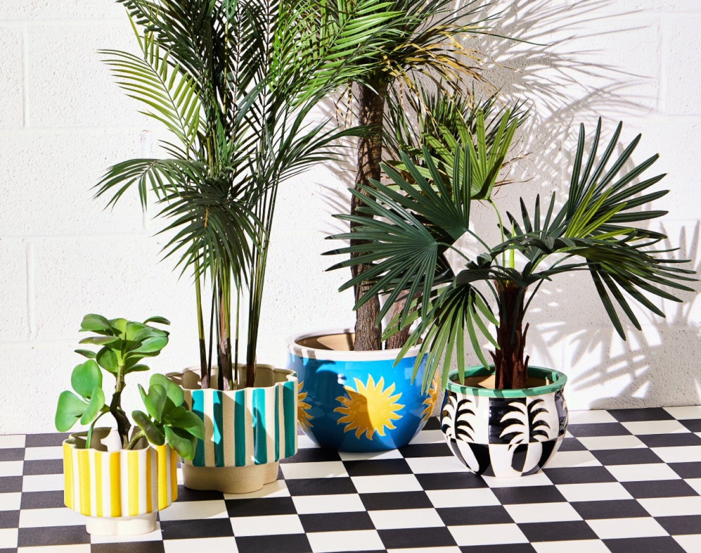 Group of bright plant pots on a chequerboard floor 