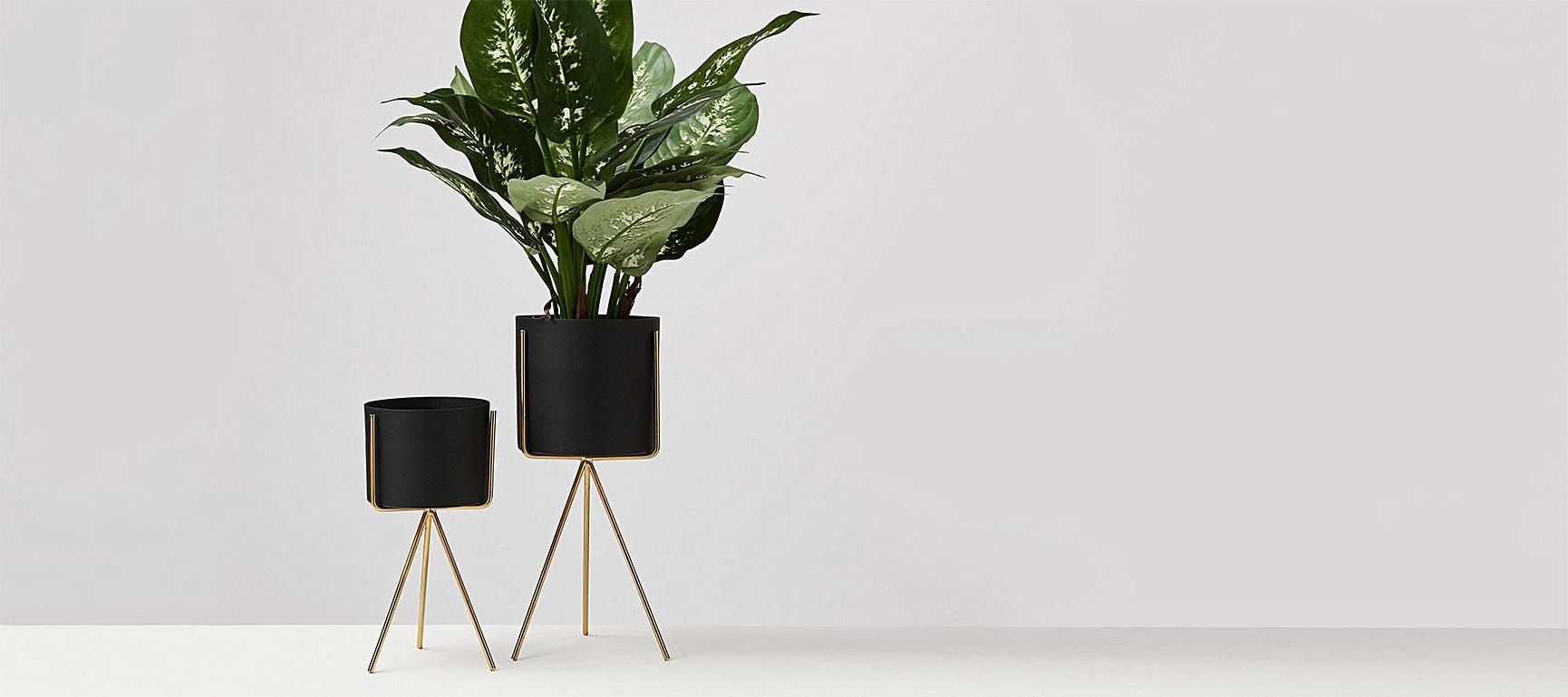 Pedestal Plant Pots | Oliver Bonas