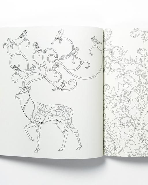 enchanted forest an inky quest and colouring book